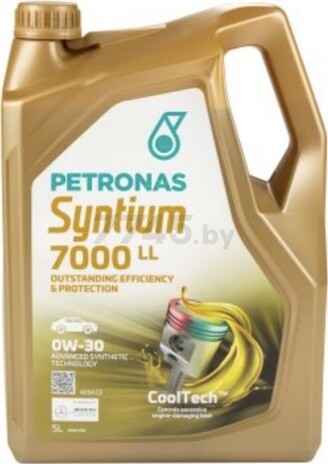 Моторное масло 0W30 синтетическое SYNTIUM 7000 LL 5 л (70720M12EU)