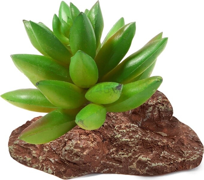 Растение искусственное для террариума LAGUNA Толстянка 9,5x7x9 см (84044002)