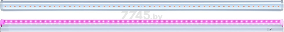 Светильник для растений красно-синего спектра JAZZWAY PPG T5i-600 Agro 8 Вт (5025936)