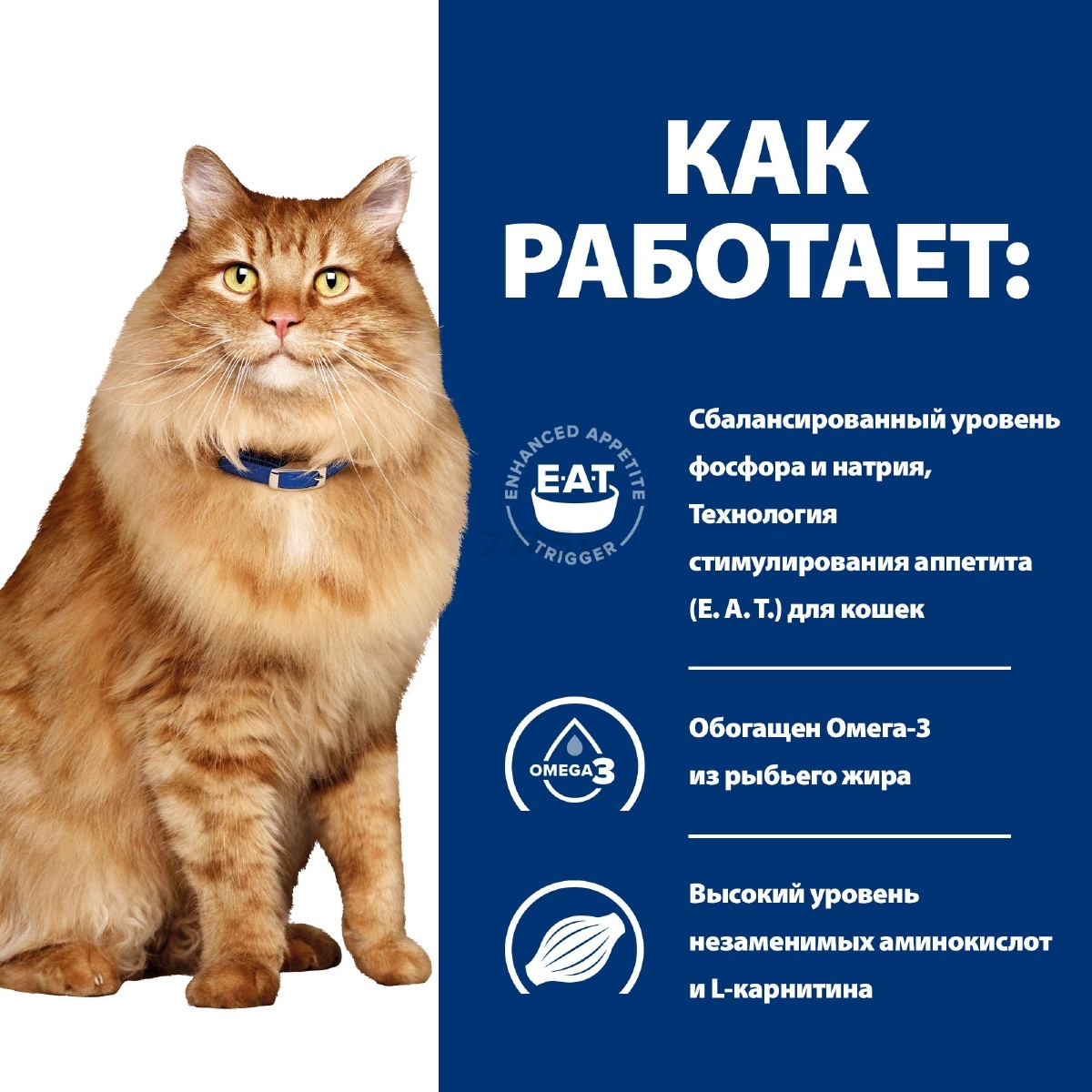 Сухой корм для кошек HILL'S Prescription Diet k/d + Mobility 1,5 кг (52742049991) - Фото 8