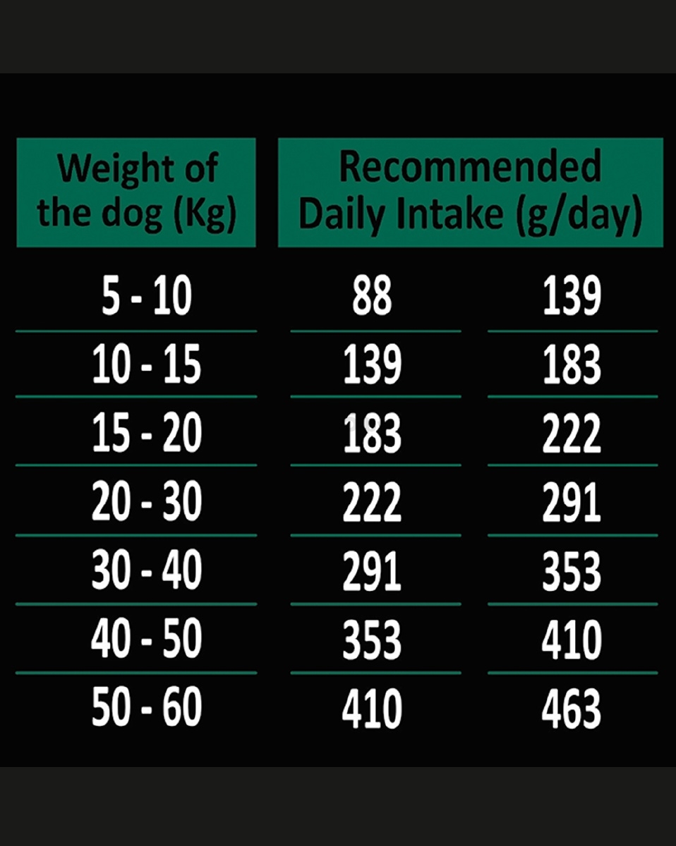 Сухой корм для собак беззерновой AMBROSIA Grain Free Senior Light индейка и лосось 12 кг (U/ATS12) - Фото 7
