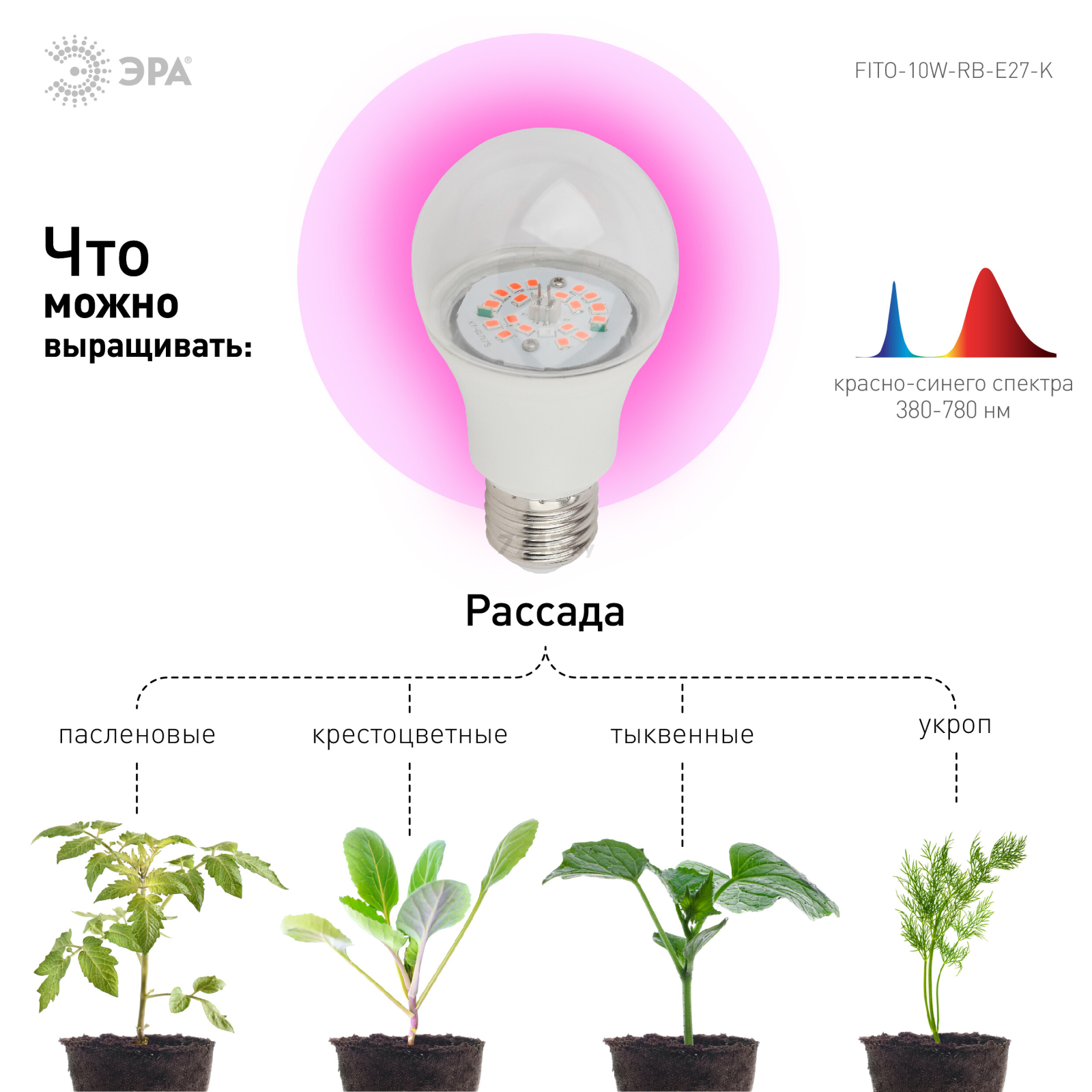 Фитолампа для растений красно-синего спектра ЭРА FITO-10W-RB-E27-K (12/36/1728) - Фото 5