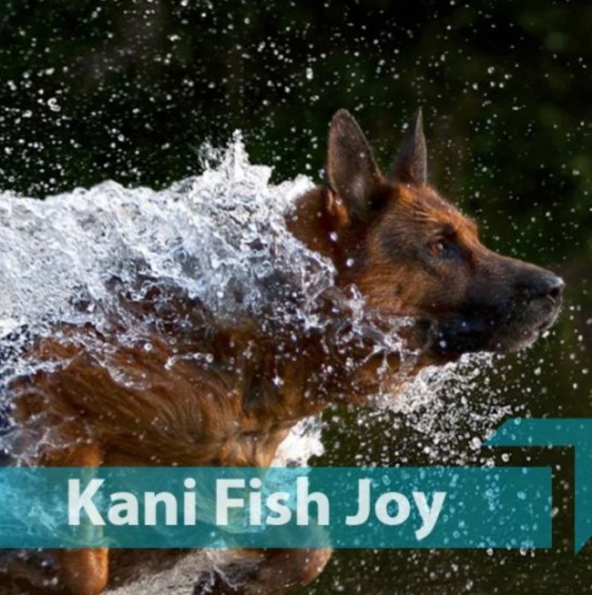 Сухой корм для собак QUICKER Kani Fish Joy Medium&Big рыбное удовольствие 10 кг (13004) - Фото 5