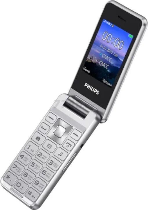 Мобильный телефон PHILIPS Xenium E2601 серебристо-белый (CTE2601SV/00) - Фото 2