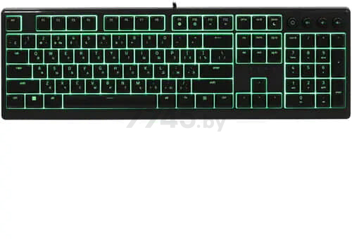 Клавиатура игровая RAZER Ornata V3 (RZ03-04460800-R3R1) - Фото 8