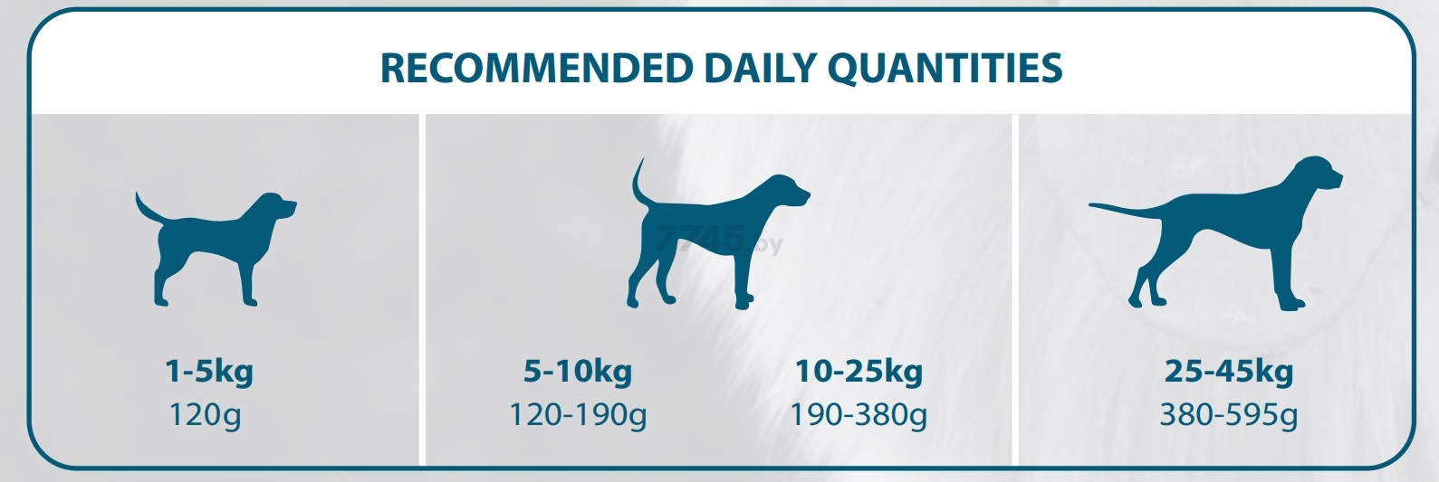 Сухой корм для собак DIVINUS Adult 20 кг (5600276940106) - Фото 3