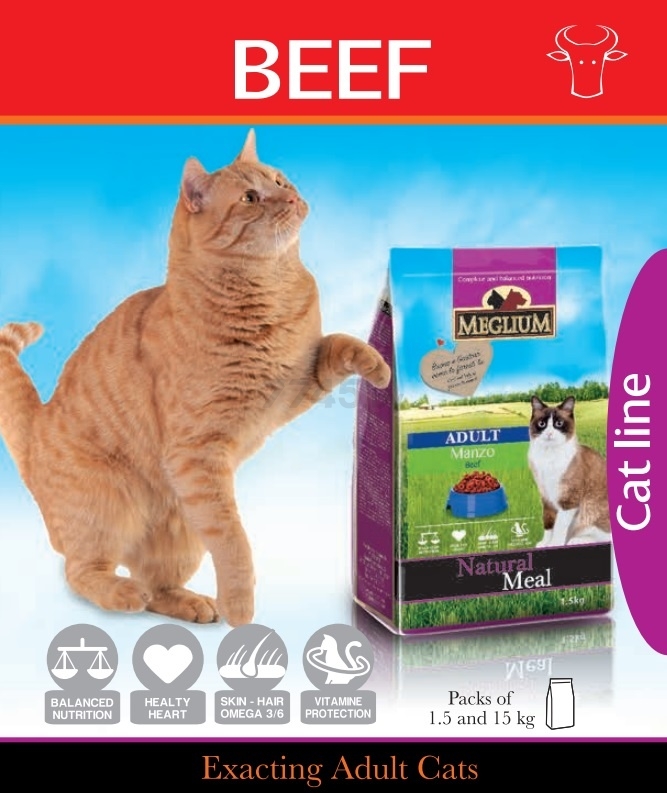 Сухой корм для кошек MEGLIUM Adult Beef 3 кг (MGS0503) - Фото 2