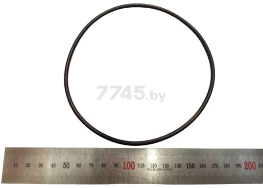 Кольцо уплотнительное для насоса ECO GFI-1202 (100817)