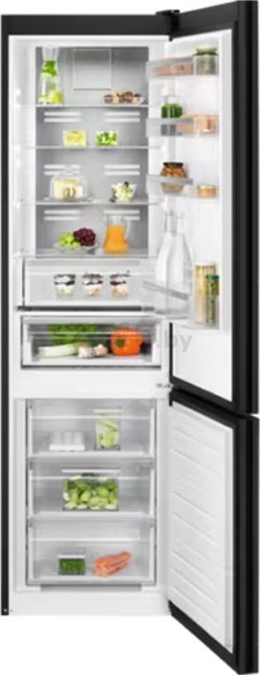 Холодильник ELECTROLUX LNT7ME36K2 - Фото 2