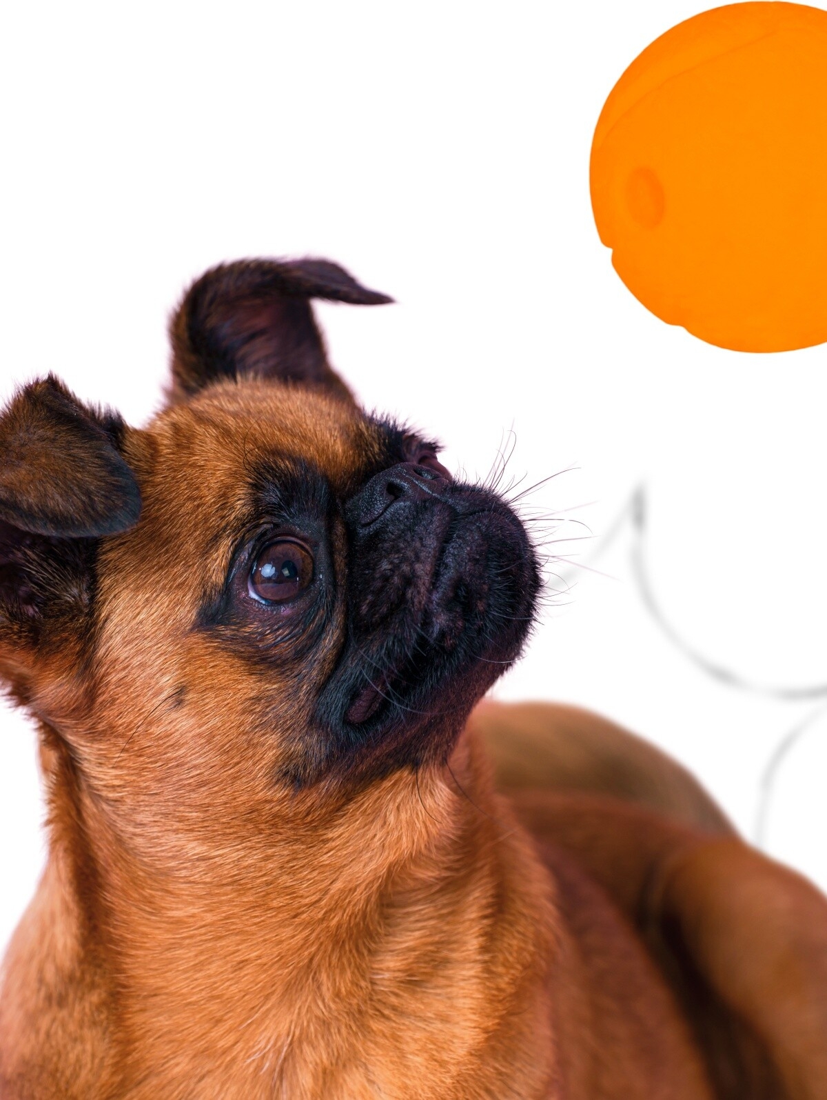 Игрушка для собак MR.KRANCH Мяч 6 см оранжевый (MKR000158) - Фото 5