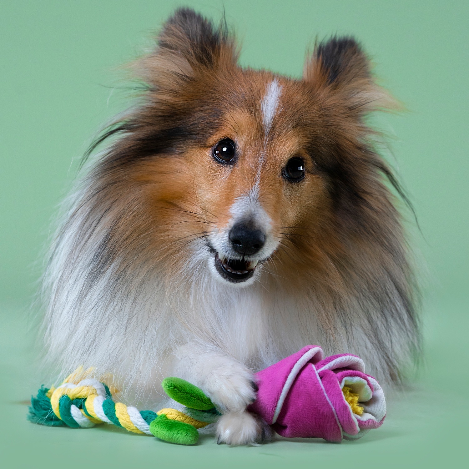 Игрушка для собак MR.KRANCH Роза с канатом 29х5х5 см розовый (MKR80264) - Фото 2
