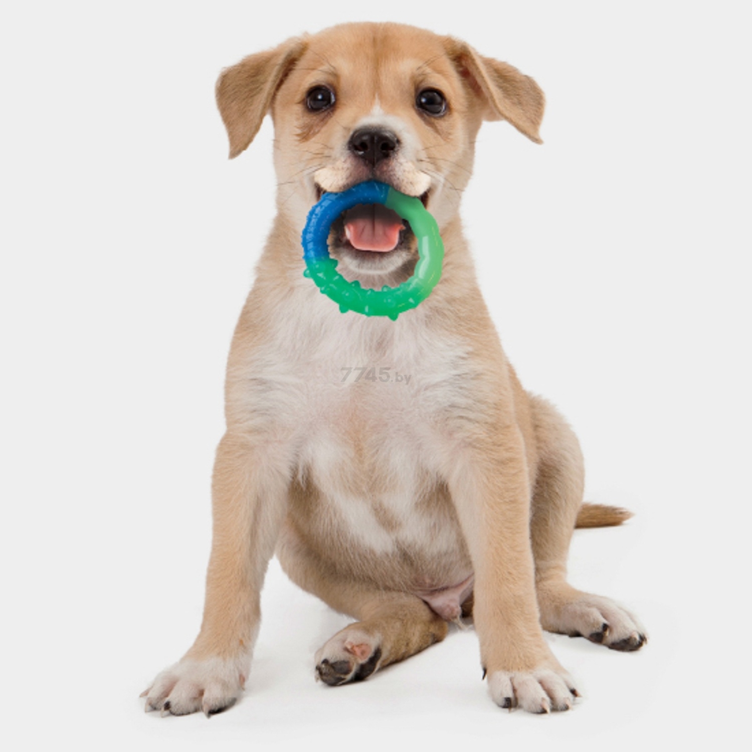 Игрушка для собак PETSTAGES Орка Кольцо растем вместе 15 см (68028) - Фото 3