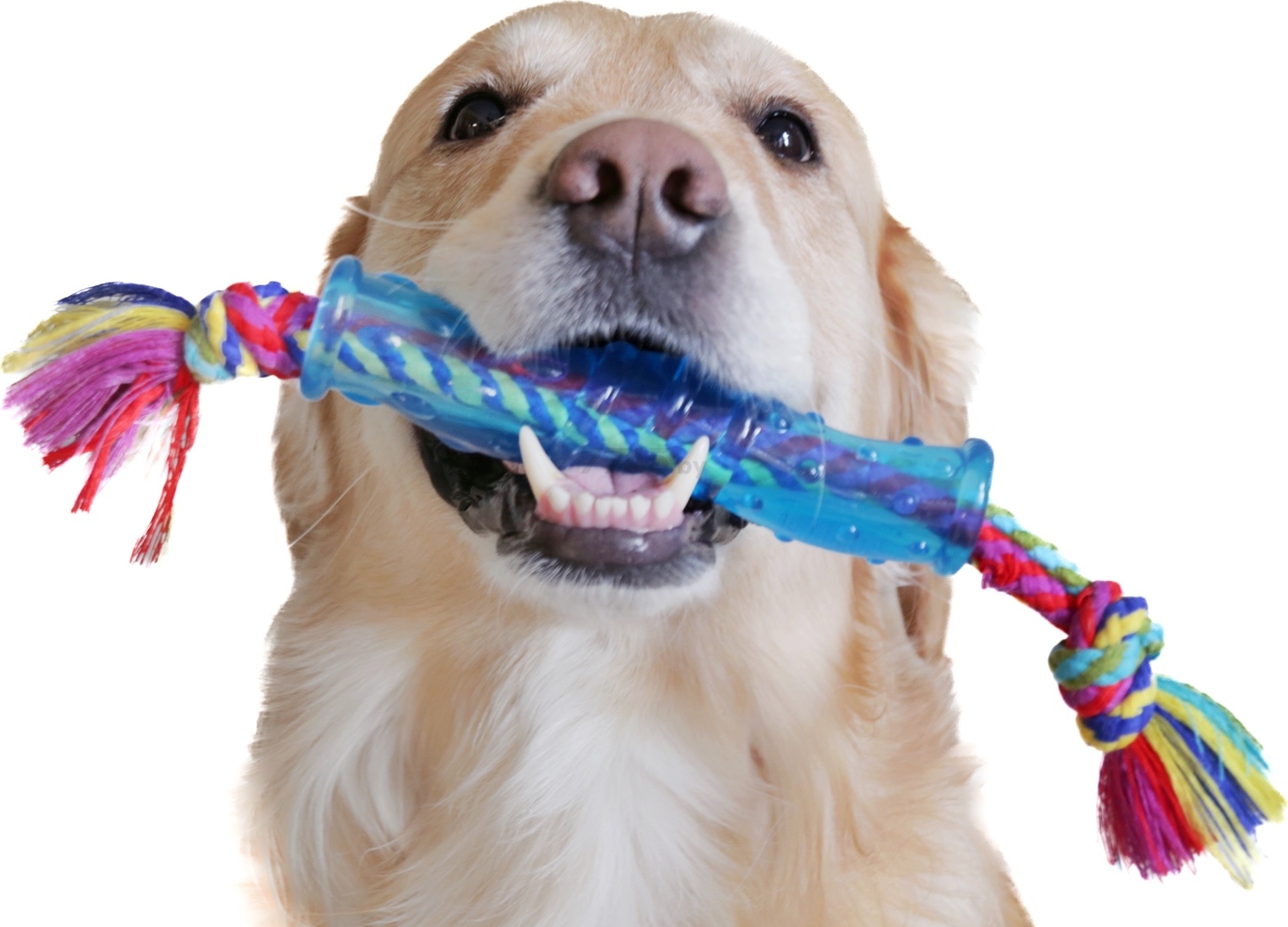 Игрушка для собак PETSTAGES Орка Палочка 25 см (220REX) - Фото 3