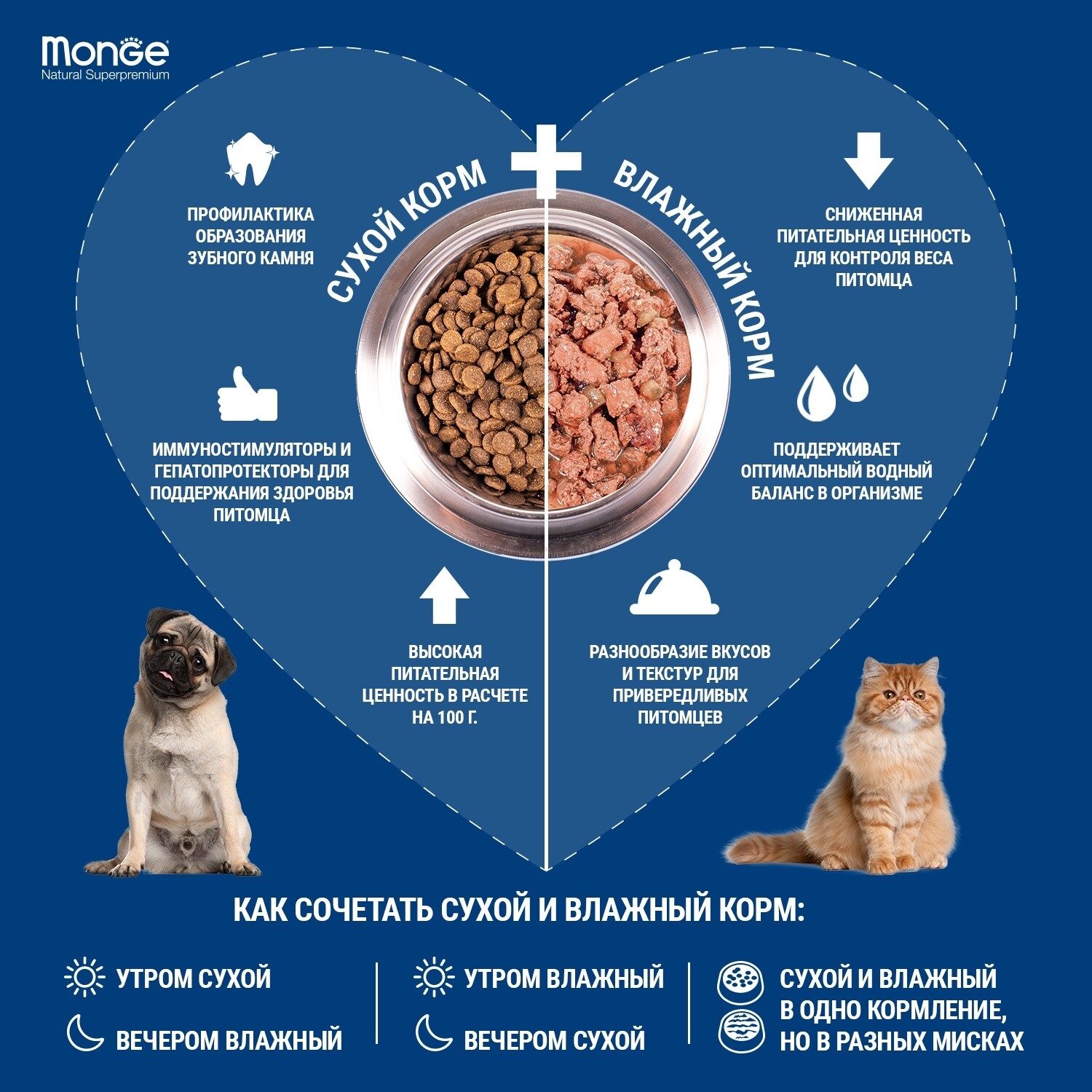 Сухой корм для котят MONGE Monoprotein Kitten форель 1,5 кг (8009470005500) - Фото 3