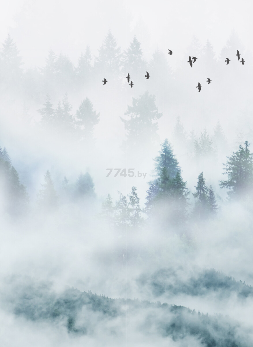 Фотообои флизелиновые ФАБРИКА ФРЕСОК Светлый туманный лес 200x265 см (12265)