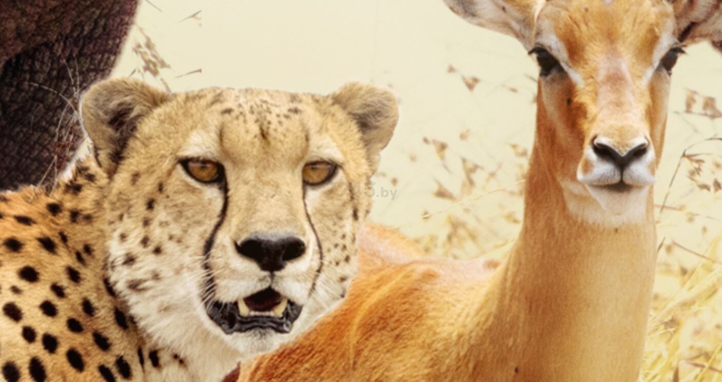 Фотообои флизелиновые ФАБРИКА ФРЕСОК Африканские звери 400x270 см (484270) - Фото 5