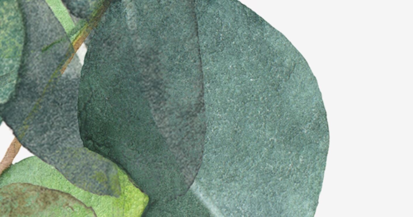 Фотообои флизелиновые ФАБРИКА ФРЕСОК Зеленые листья 400x270 см (534270) - Фото 8
