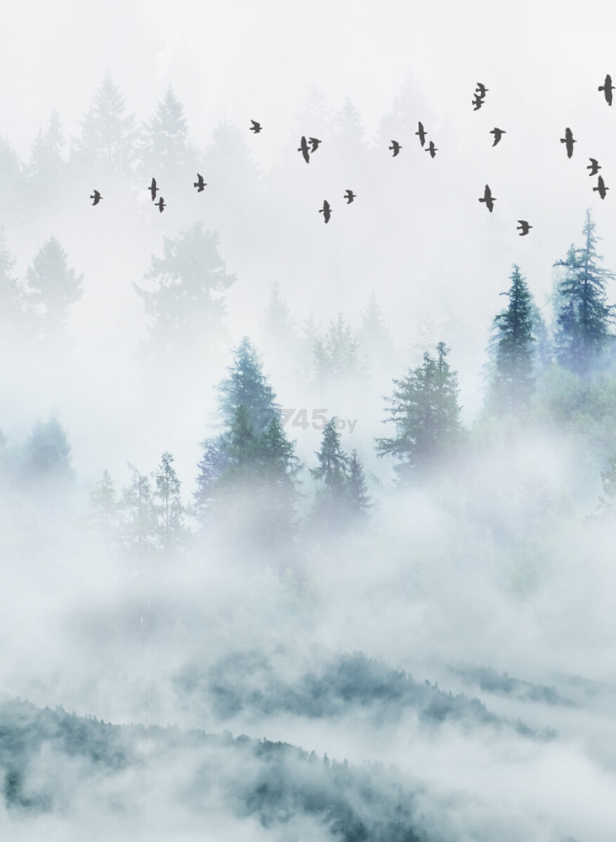 Фотообои флизелиновые ФАБРИКА ФРЕСОК Светлый туманный лес 300x265 см (12365) - Фото 2