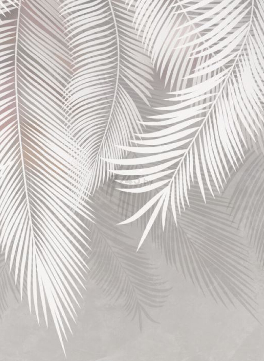 Фотообои флизелиновые ФАБРИКА ФРЕСОК Пальмовые листья бетон 500x270 см (135270) - Фото 2