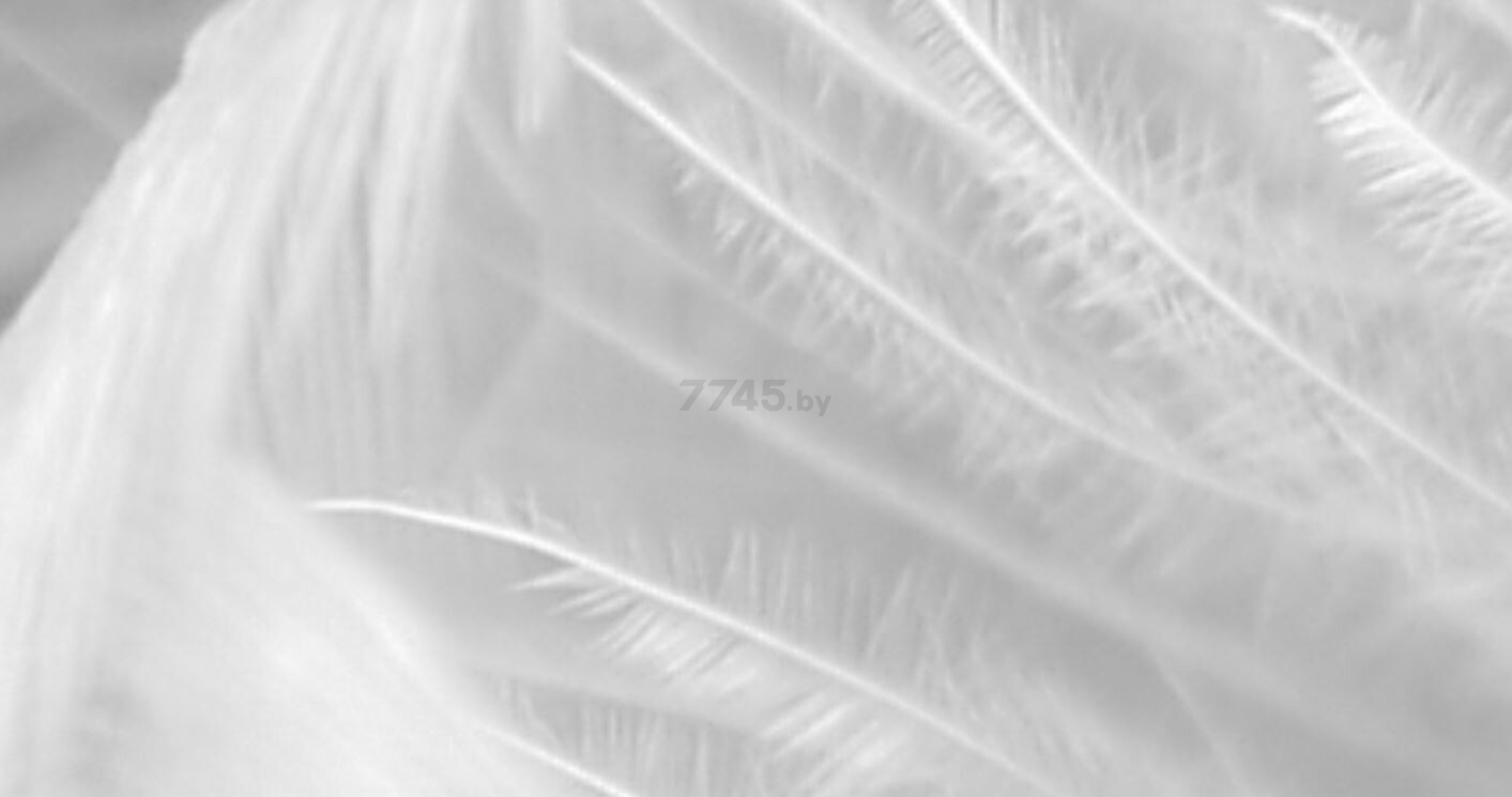 Фотообои флизелиновые ФАБРИКА ФРЕСОК Серые перья 400x280 см (154280) - Фото 4