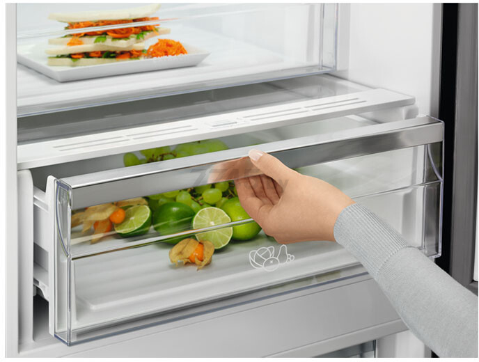 Холодильник ELECTROLUX LNT8MC36X3 - Фото 6