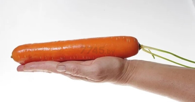 Семена моркови Дарина АГРОФИРМА ПАРТНЕР 1 г - Фото 3