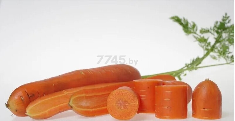 Семена моркови Дарина АГРОФИРМА ПАРТНЕР 1 г - Фото 2