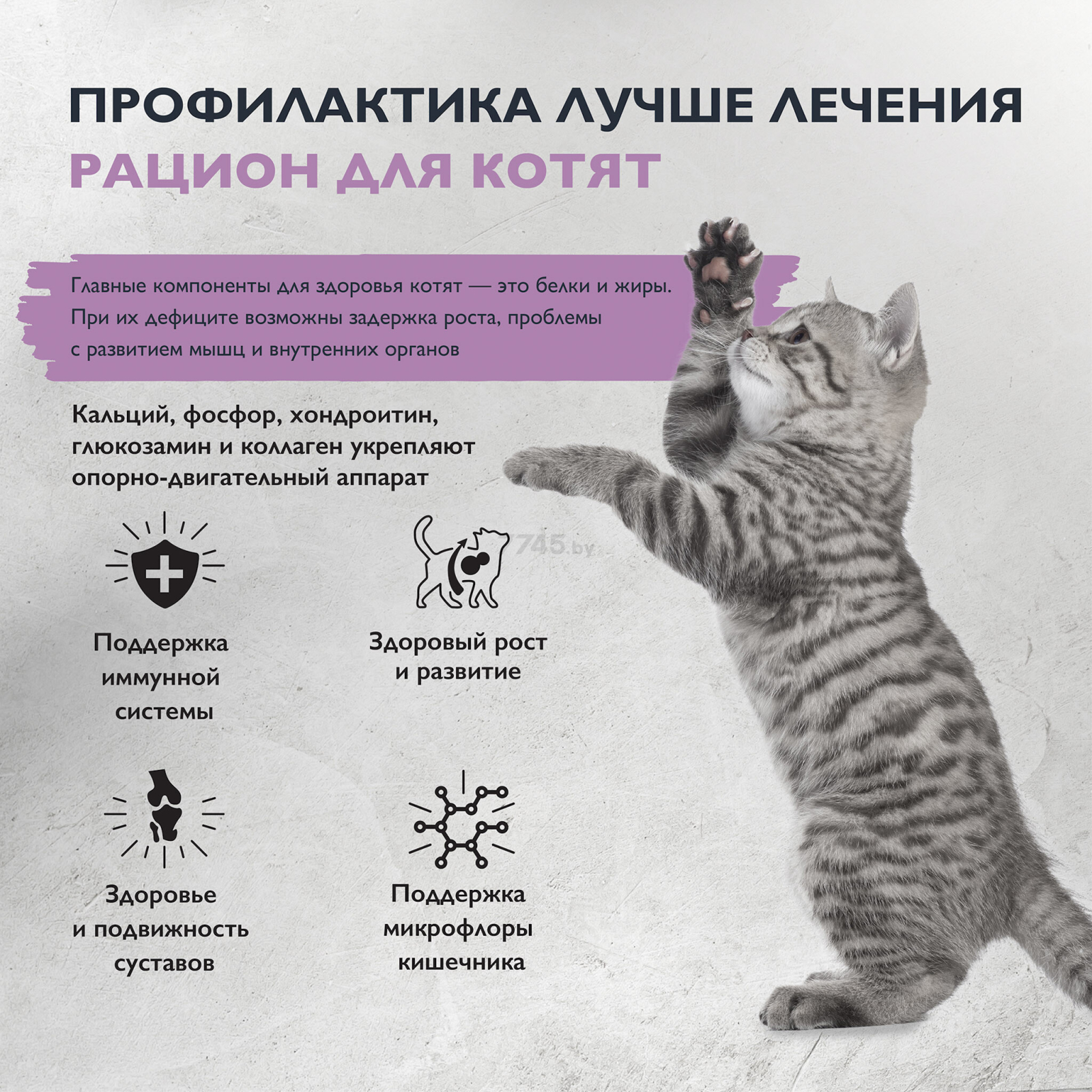 Сухой корм для котят BRIT Care Kitten Healthy Growth индейка 1,5 кг (5066056) - Фото 7