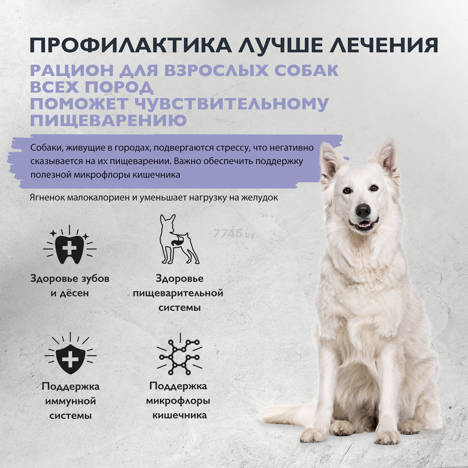 Сухой корм для собак BRIT Care Sensitive Healthy Digestion ягненок и индейка 1,5 кг (5066452) - Фото 4