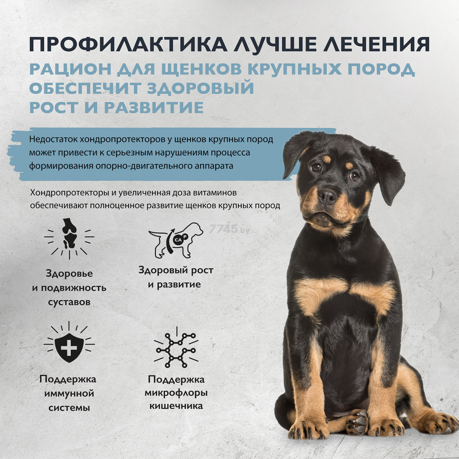 Сухой корм для щенков BRIT Care Puppy Junior L Healthy Growth ягненок и индейка 12 кг (5066339) - Фото 4