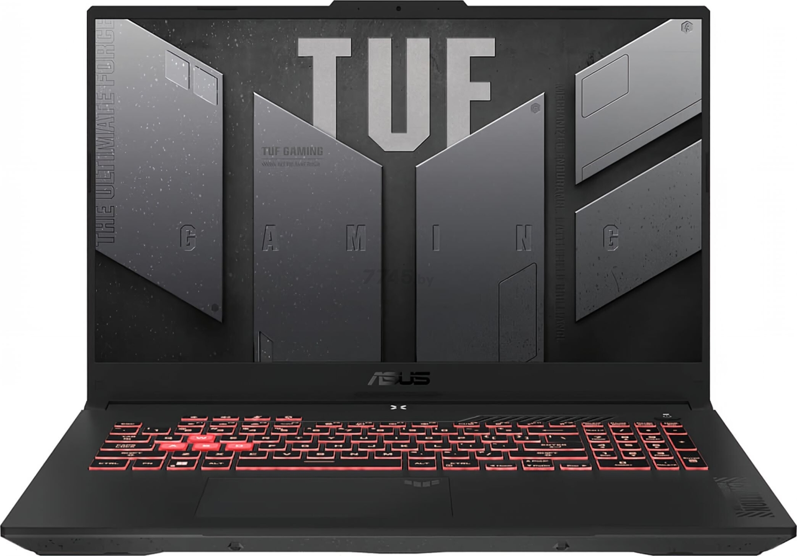 Игровой ноутбук ASUS TUF Gaming A17 FA707 FA707NU-HX070 (90NR0EF5-M00430)