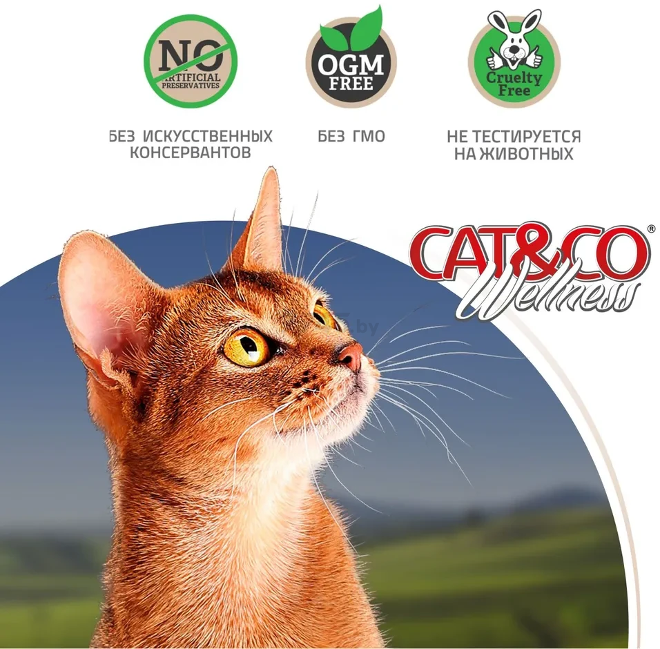 Сухой корм для кошек ADRAGNA Cat&co Wellness Adult Hairball курица рис 0,4 кг (3126/04/CATW) - Фото 3