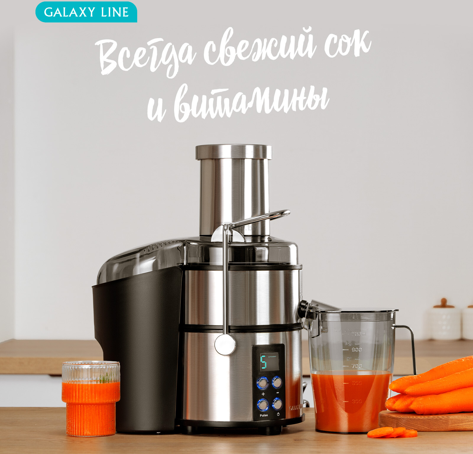 Соковыжималка GALAXY LINE GL 0808 (7020708080) - Фото 8