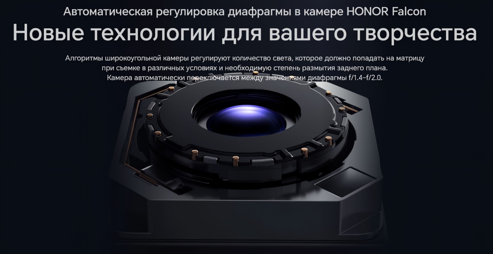 Смартфон HONOR Magic 6 Pro 12GB/512GB Black (BVL-N49) - Фото 29