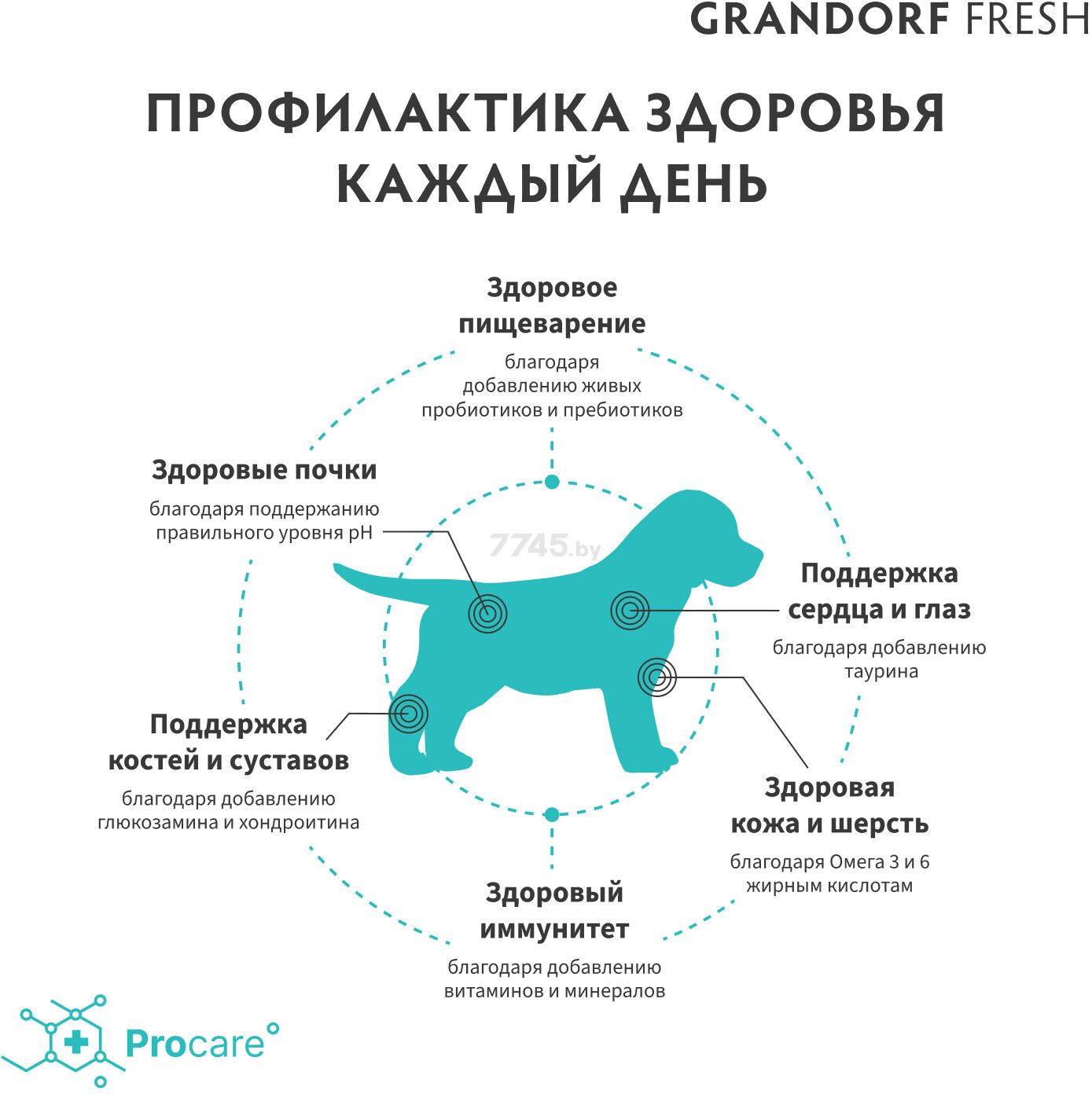 Сухой корм для щенков беззерновой GRANDORF Fresh Holistic Puppy мясо ягненка с бататом 10 кг (2765) - Фото 8