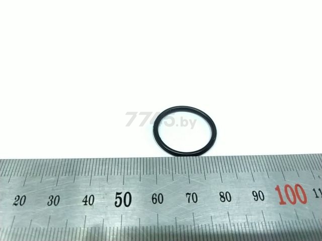 Кольцо жесткое ⌀22*1,9 для мойки высокого давления ECO HPW-1718 (HPW-1718-MO-38-1)