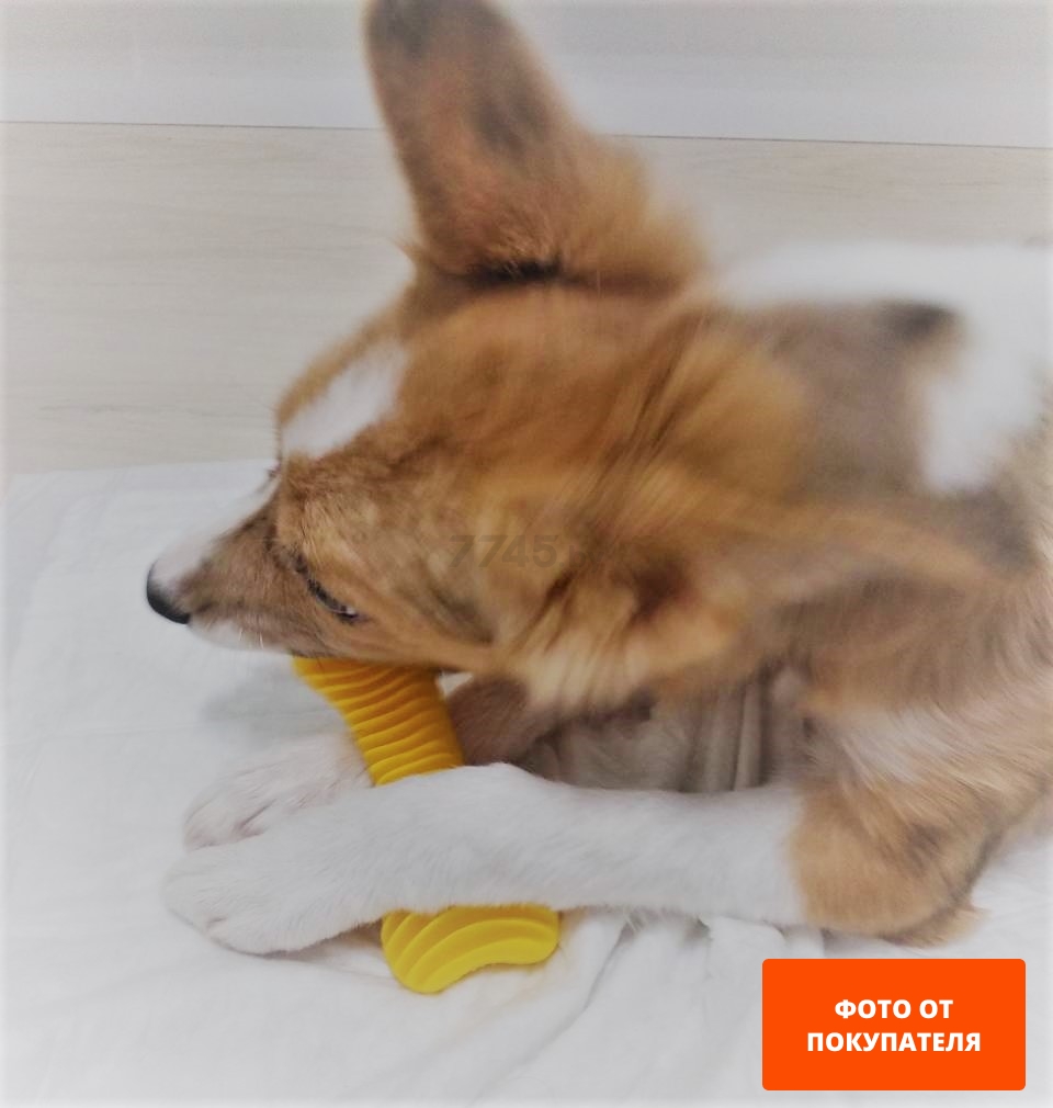Игрушка для собак SUM-PLAST Грызак кость Dent 12 см с запахом ванили (5901785370133)