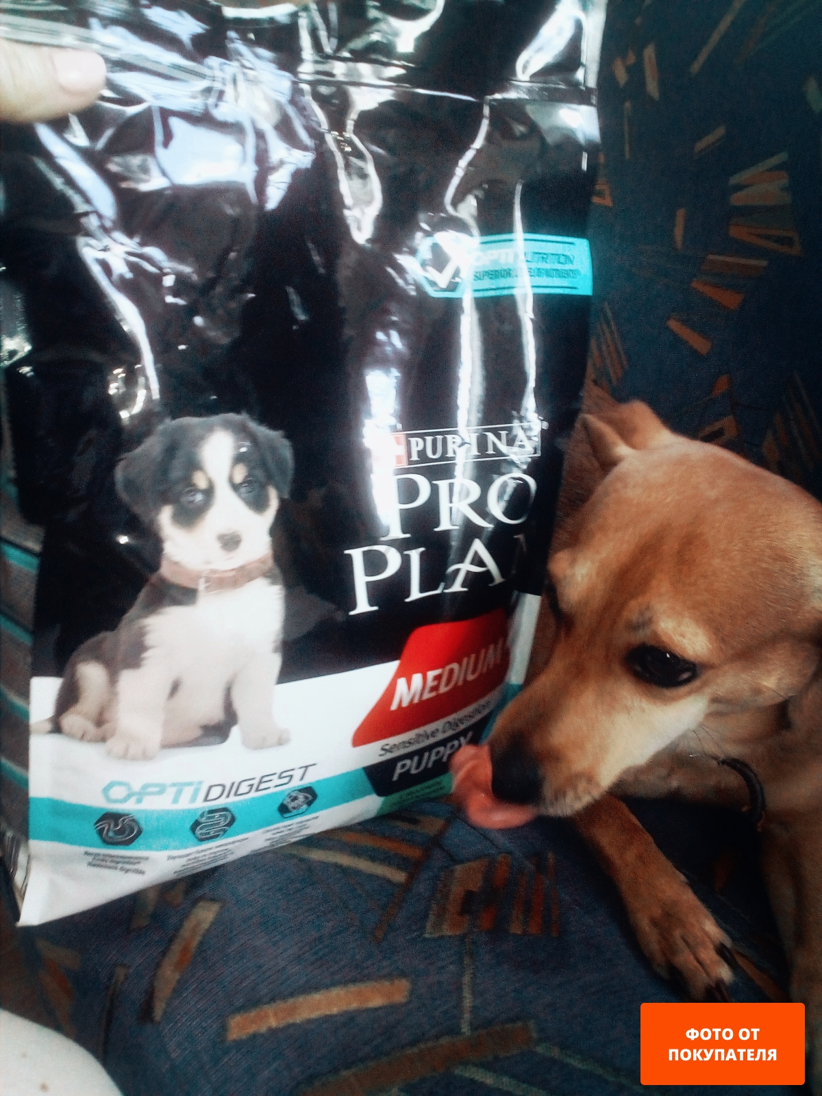 Сухой корм для щенков PURINA PRO PLAN Medium Puppy Sensitive Digestion ягненок с рисом 12 кг (7613035214767) - Фото 12