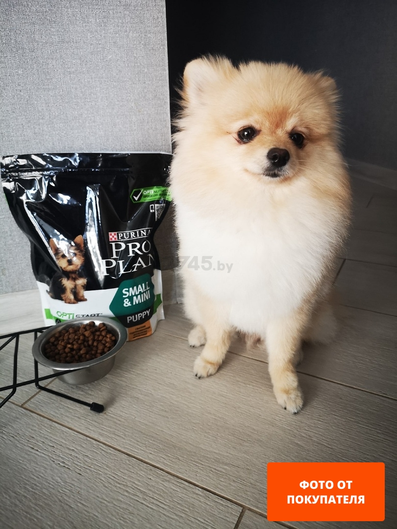 Сухой корм для щенков PURINA PRO PLAN Small&Mini Puppy курица 7 кг (7613035123366) - Фото 25