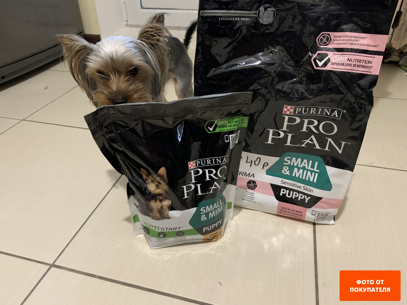 Сухой корм для щенков PURINA PRO PLAN Small&Mini Puppy курица 7 кг (7613035123366) - Фото 33