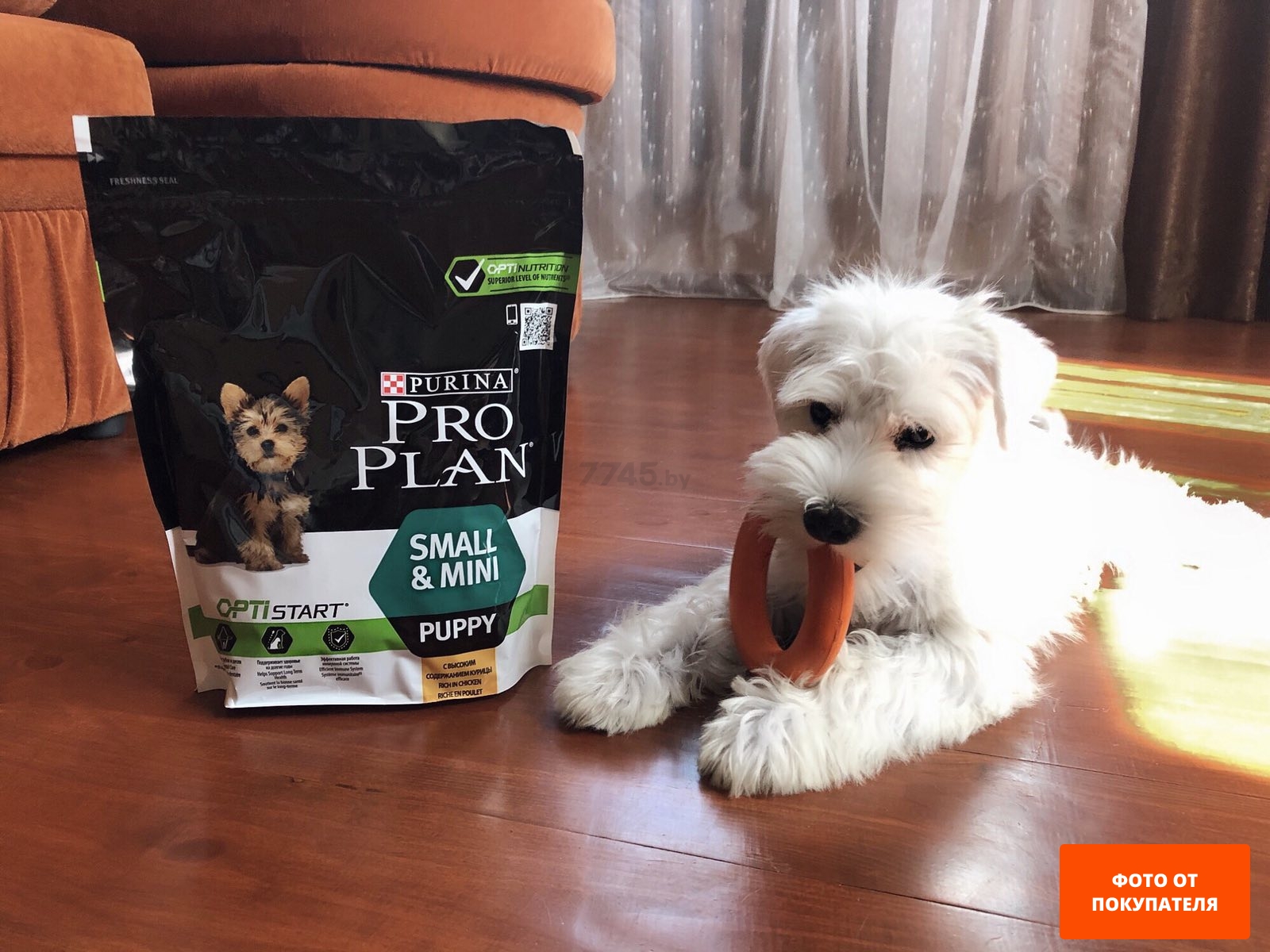 Сухой корм для щенков PURINA PRO PLAN Small&Mini Puppy курица 7 кг (7613035123366)