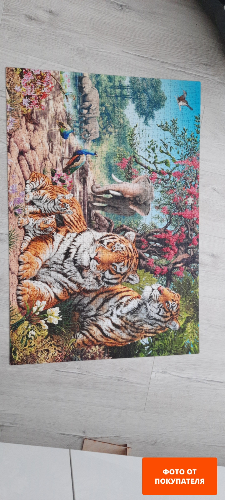 Пазл STEP PUZZLE 1500 Тигры (83054)