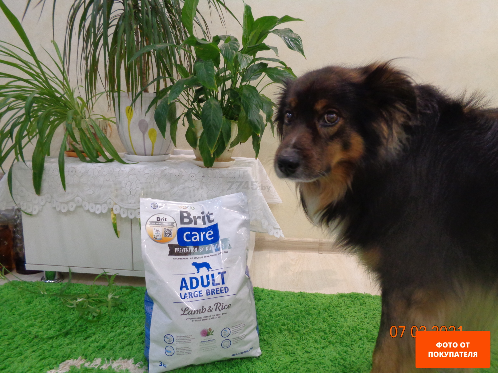 Сухой корм для собак BRIT Care Adult Large Breed ягненок с рисом 12 кг (132712) - Фото 3