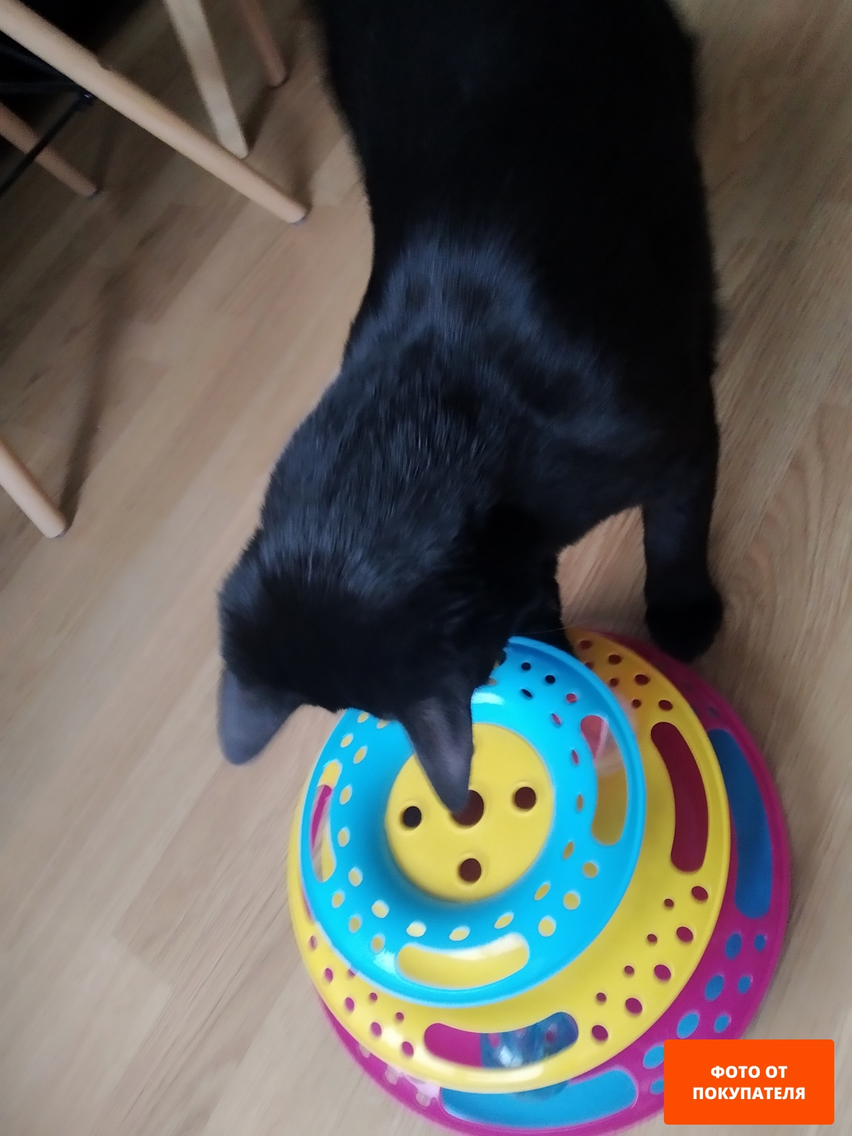 Игрушка для кошек TRIXIE Catch the Balls в виде круглой башенки 25×13 см (41345) - Фото 4