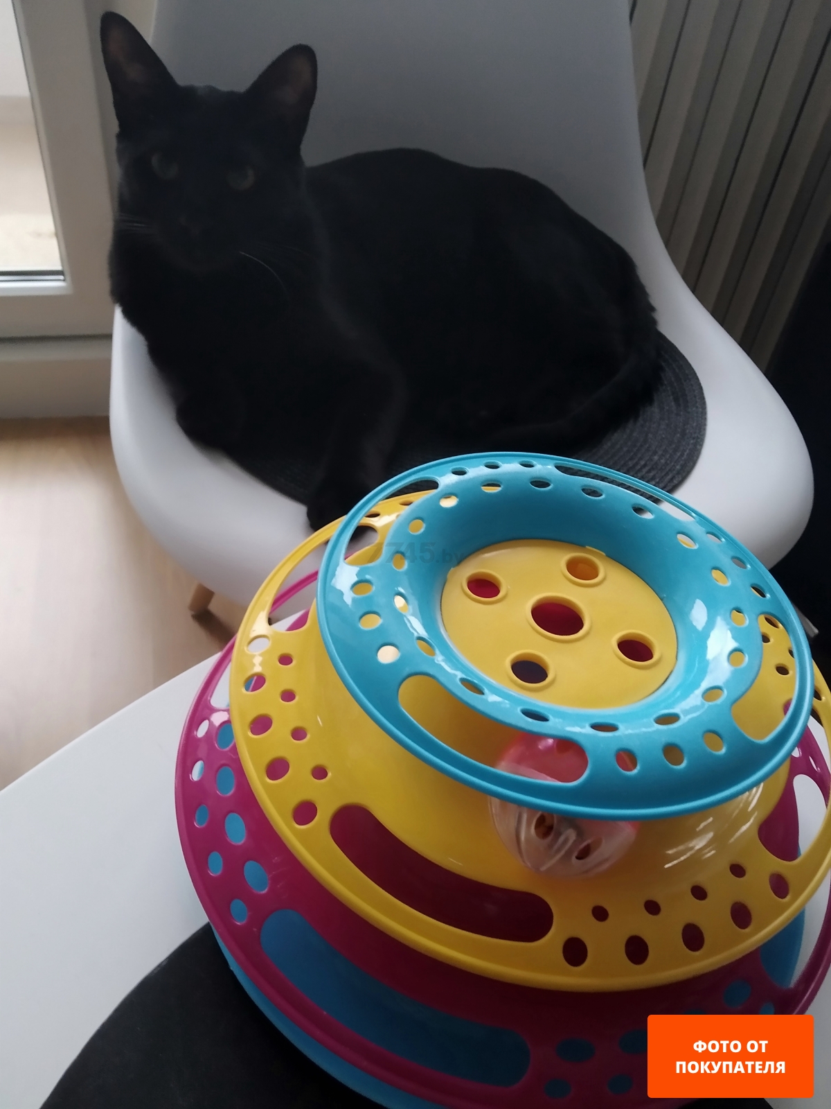 Игрушка для кошек TRIXIE Catch the Balls в виде круглой башенки 25×13 см (41345)