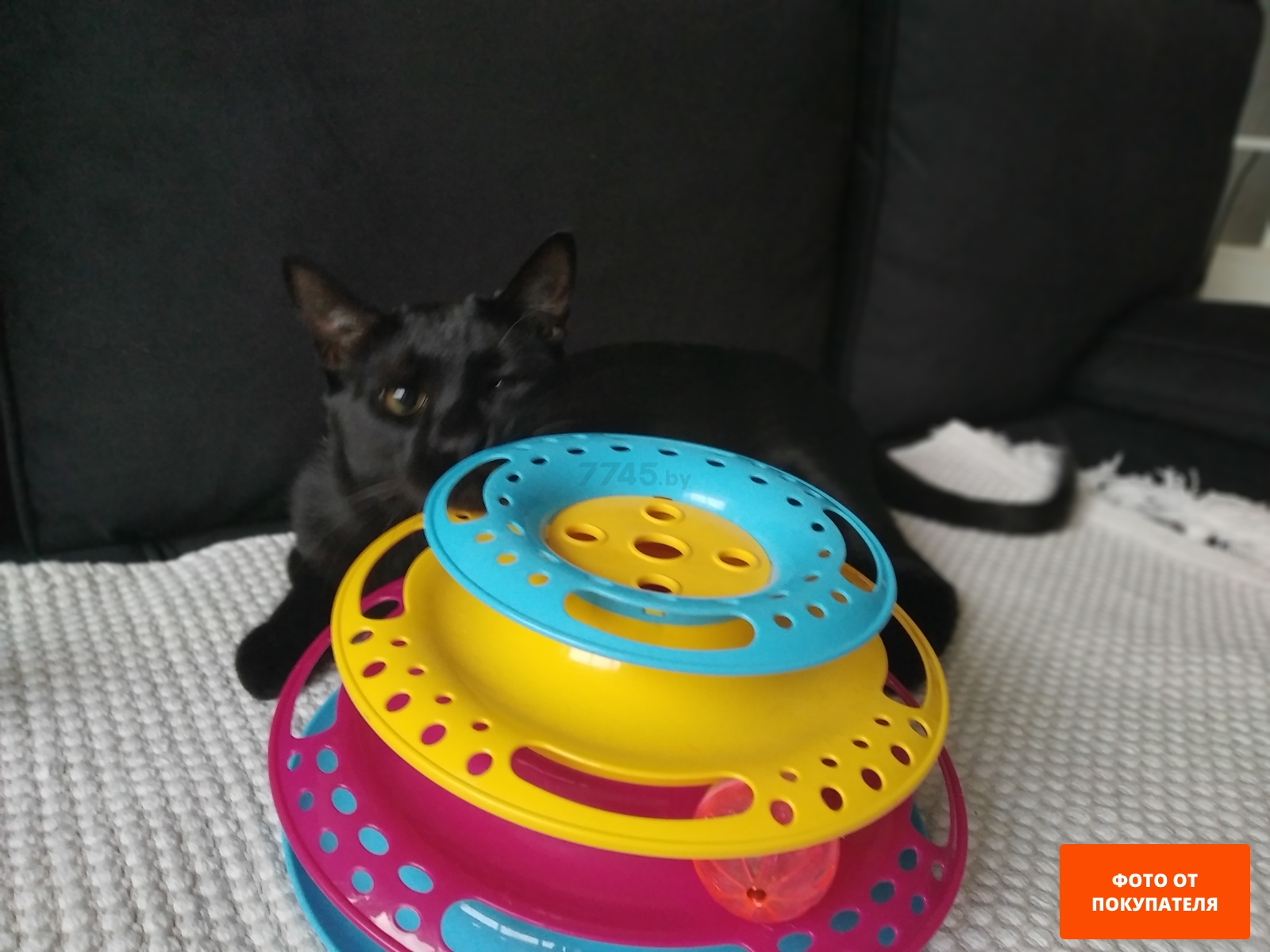 Игрушка для кошек TRIXIE Catch the Balls в виде круглой башенки 25×13 см (41345) - Фото 5