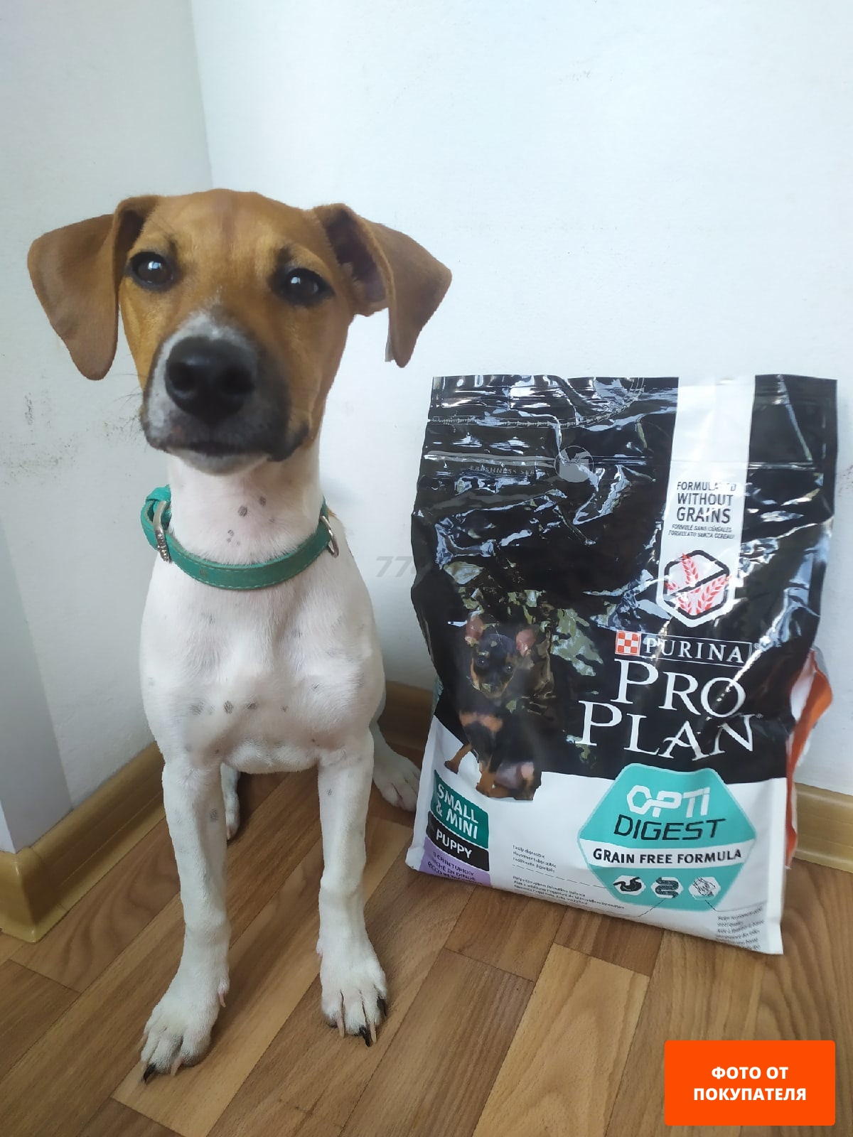 Сухой корм для щенков PURINA PRO PLAN Small&Mini Puppy курица 7 кг (7613035123366) - Фото 10