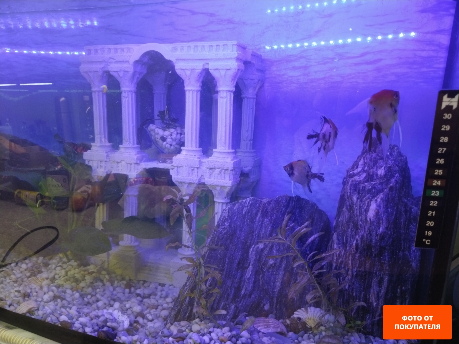 Декорация для аквариума DEKSI Атлантида №305 25х15х38 см (305d) - Фото 2