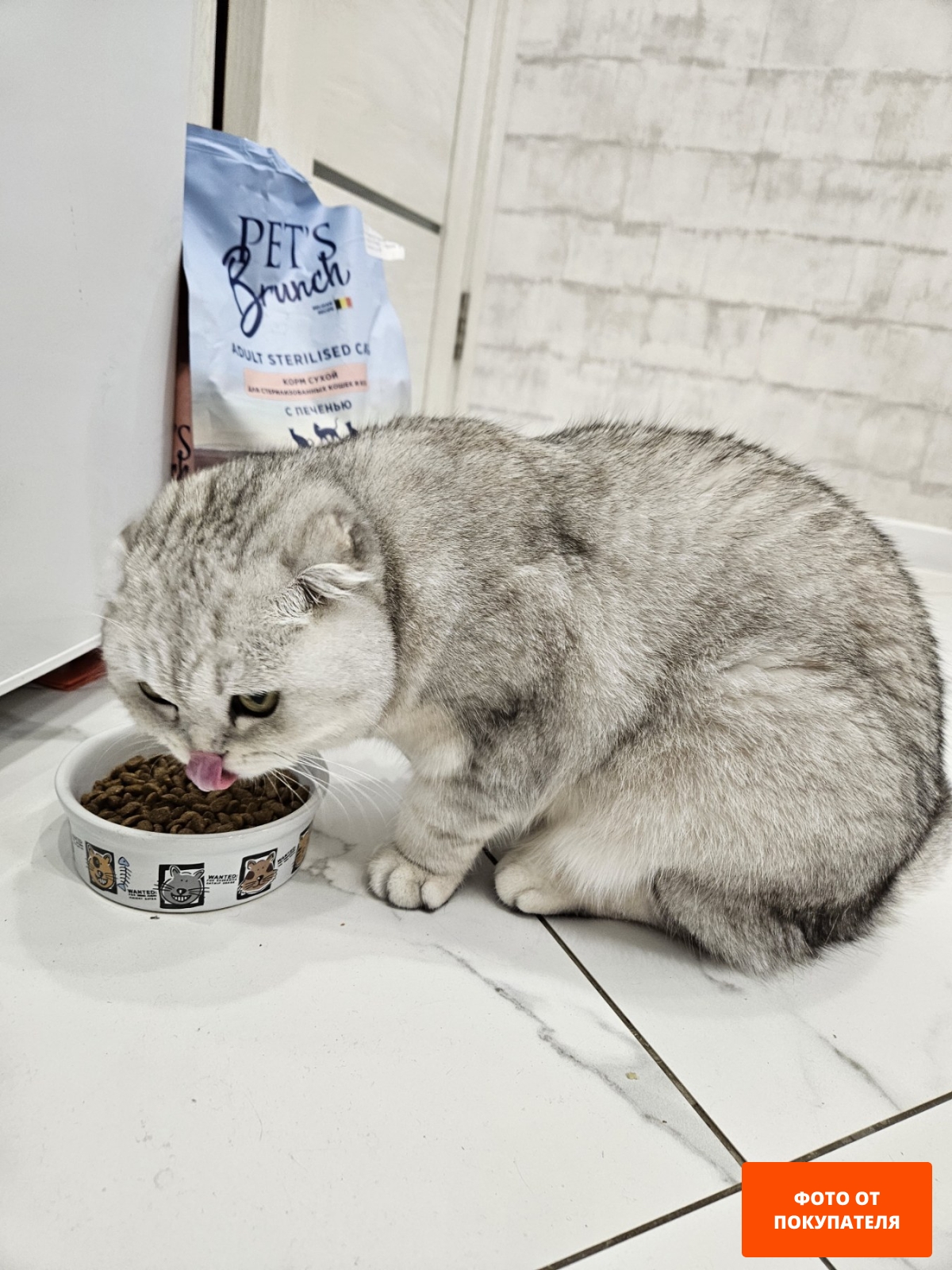 Сухой корм для стерилизованных кошек PETS BRUNCH Adult Sterilised Cats 2 кг (4812743001062) - Фото 4