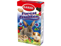 Лакомство для грызунов SANAL Fruitie